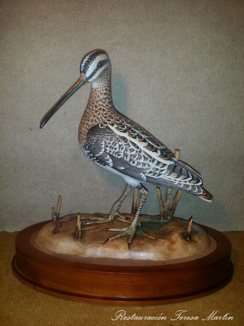 RESTAURACION FIGURA PAPEL MACHE